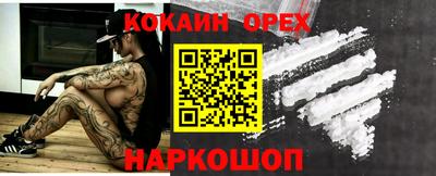крисы Будённовск