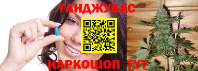 крисы Будённовск