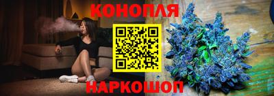 крисы Будённовск