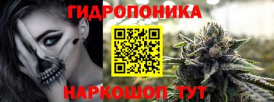 крисы Будённовск